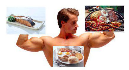 proteins fats carbohydrates include