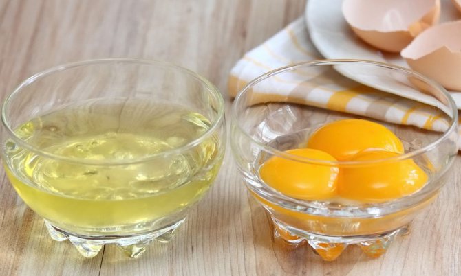 Белок и желток яйца отдельно