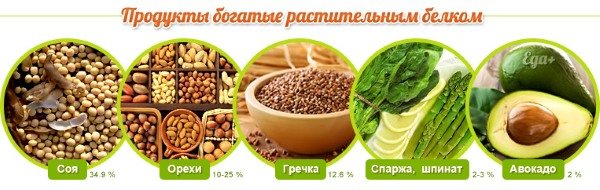 Protein in food. Table, list of protein products for weight loss, muscle growth, during pregnancy 
