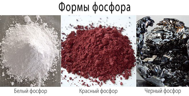 Формы фосфора - белый, красный, черный