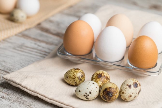 Количество белка в куриных и перепелиных яйцах