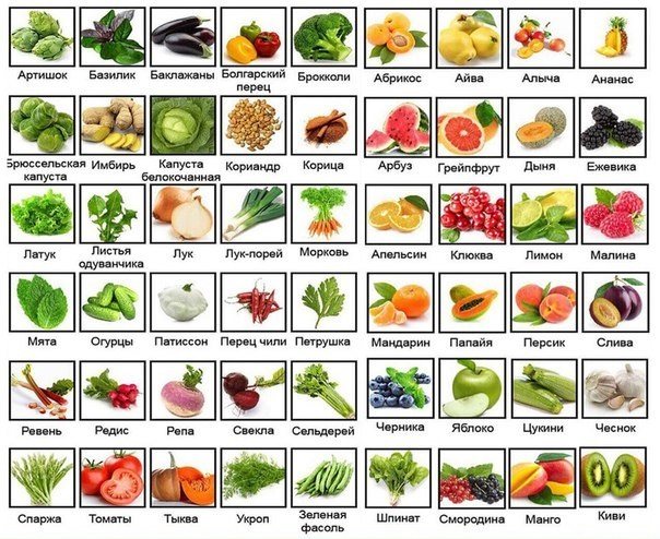 Menu for weight loss for a week: list of foods with calories, recipes for dietary, healthy, economical nutrition