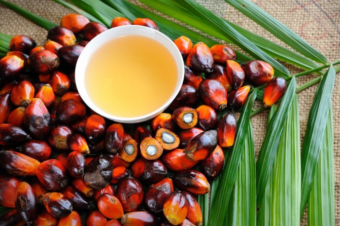 Пальмовое масло - почему оно плохое