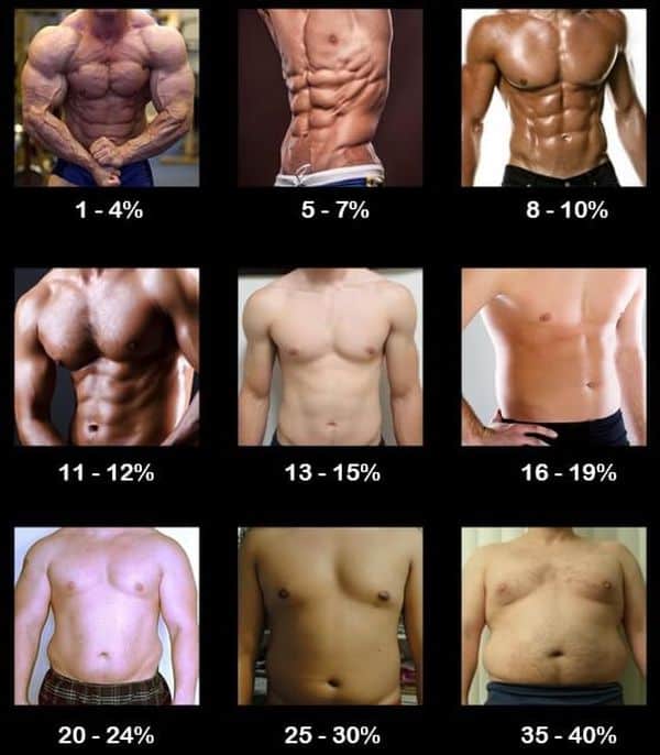 Процент жировой ткани в организме мужчины