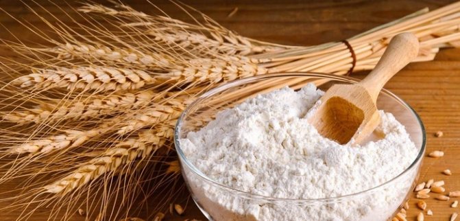 Пшеничная мука. Калорийность на 100 грамм, белки, жиры, углеводы, как употреблять, рецепты