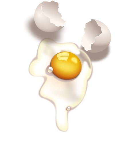 Разбитое яйцо на белом фоне, рядом скорлупа