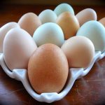 Сколько каллорий в 100 граммах яйца
