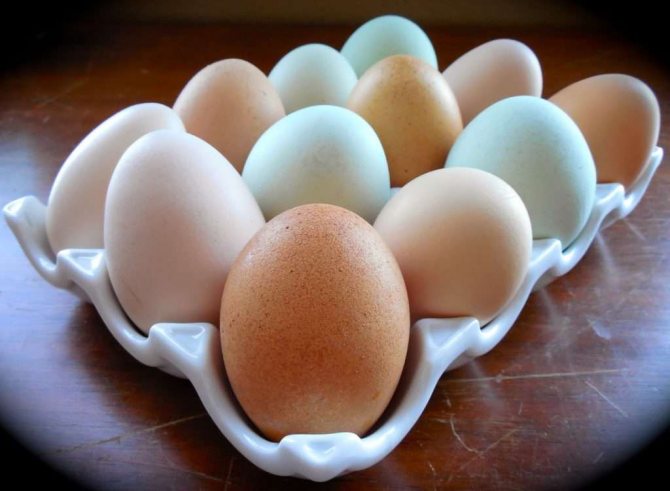 Сколько каллорий в 100 граммах яйца