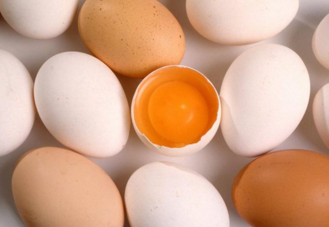 Сколько каллорий в одном яйце