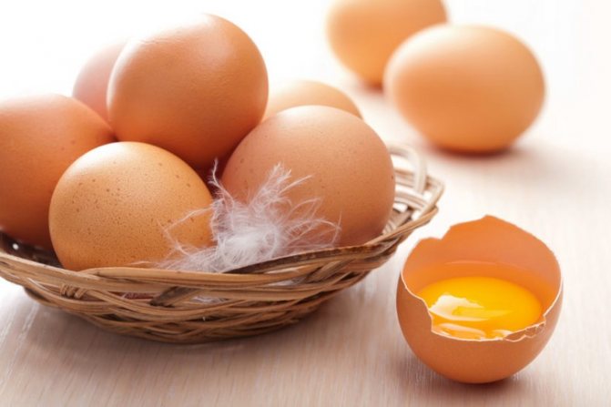 Соотношение составных частей яйца