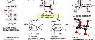 Углеводы: структура моносахаридов фото