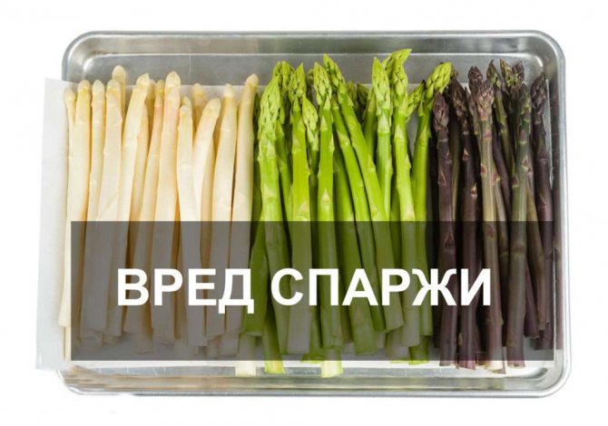 Harm of asparagus