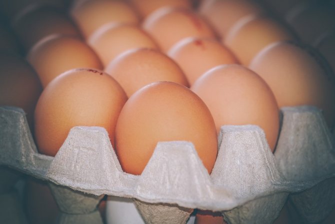 Яйцо – это идеальная пища. Фото: pixabay.com