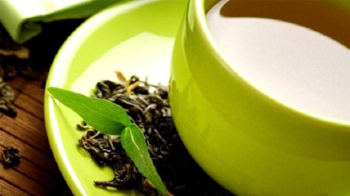 Зеленый чай – отличный жиросжигатель и антиоксидант